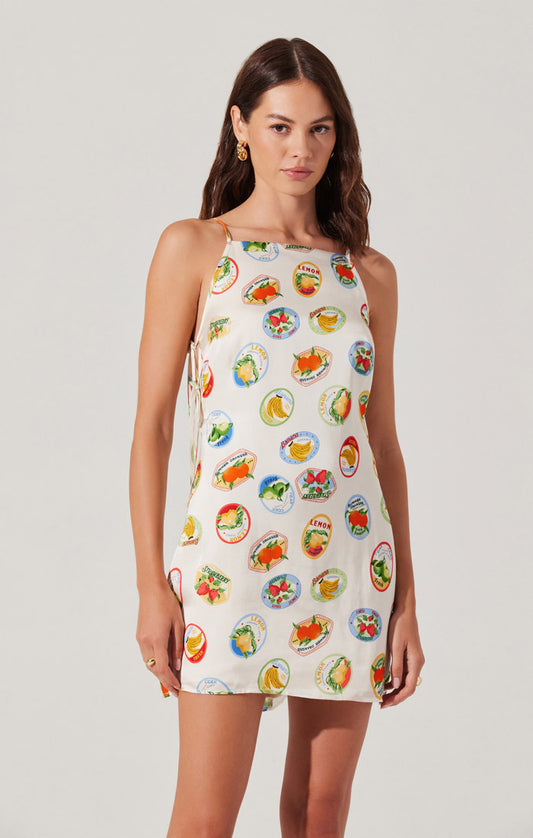 Samira Dress